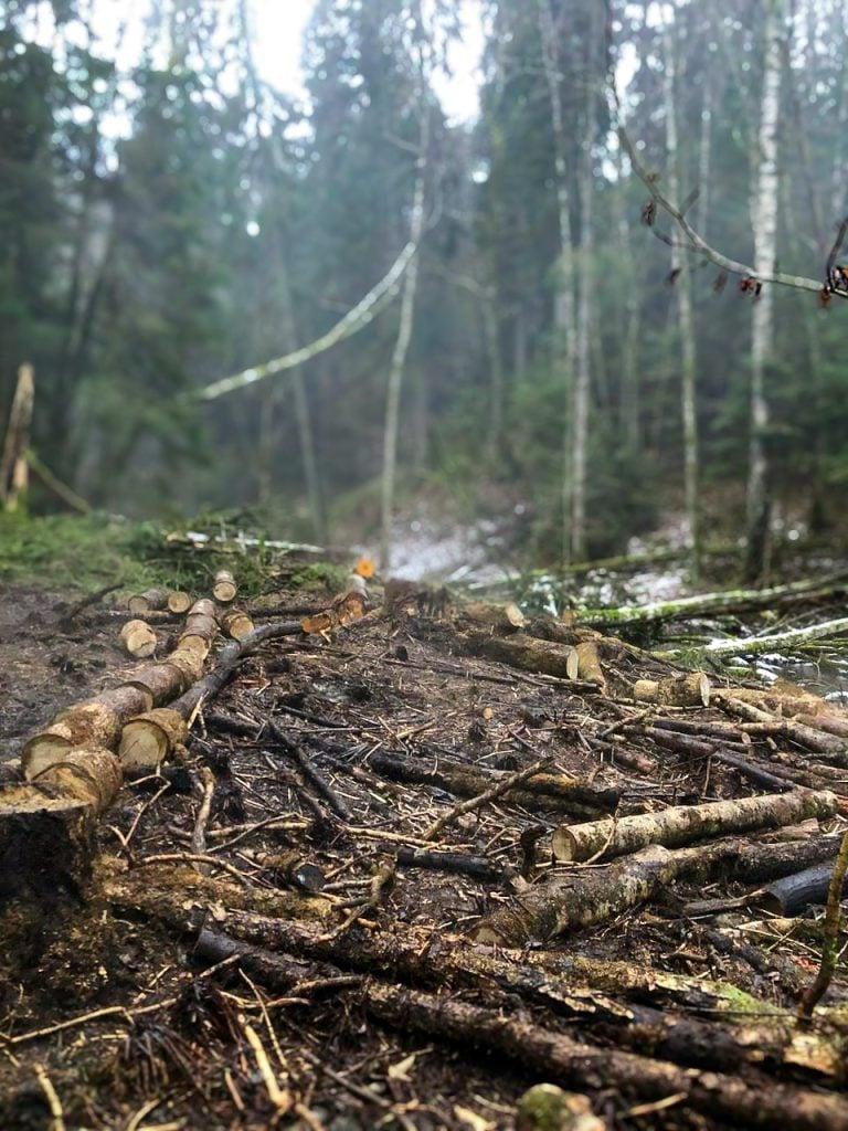 Område behandlat med Invaterm-metoden