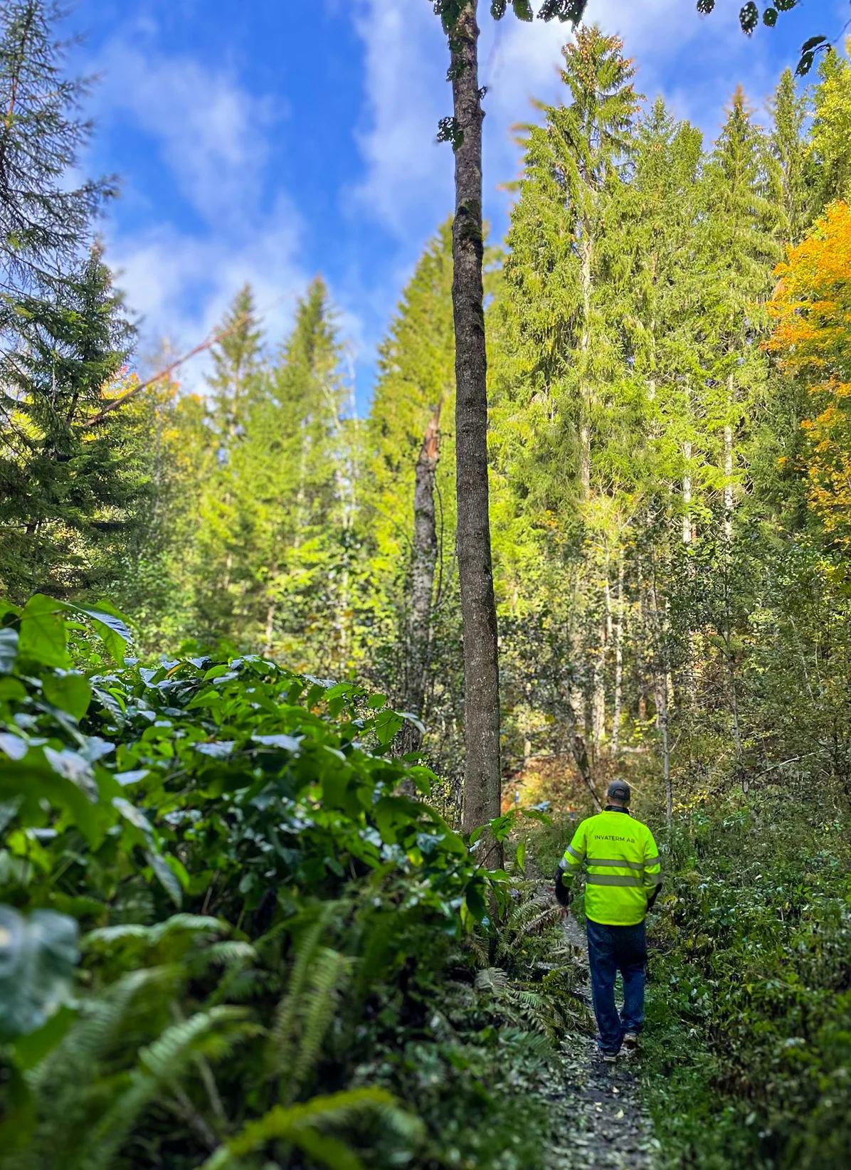 Invaterm utför termisk behandling